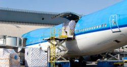 Air Transportation Services